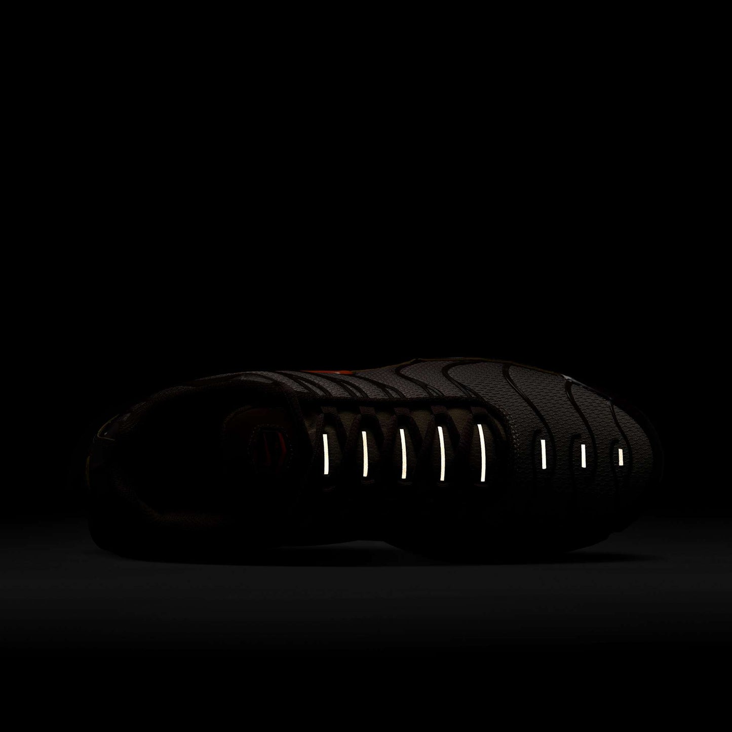 Nike Air Max Plus
