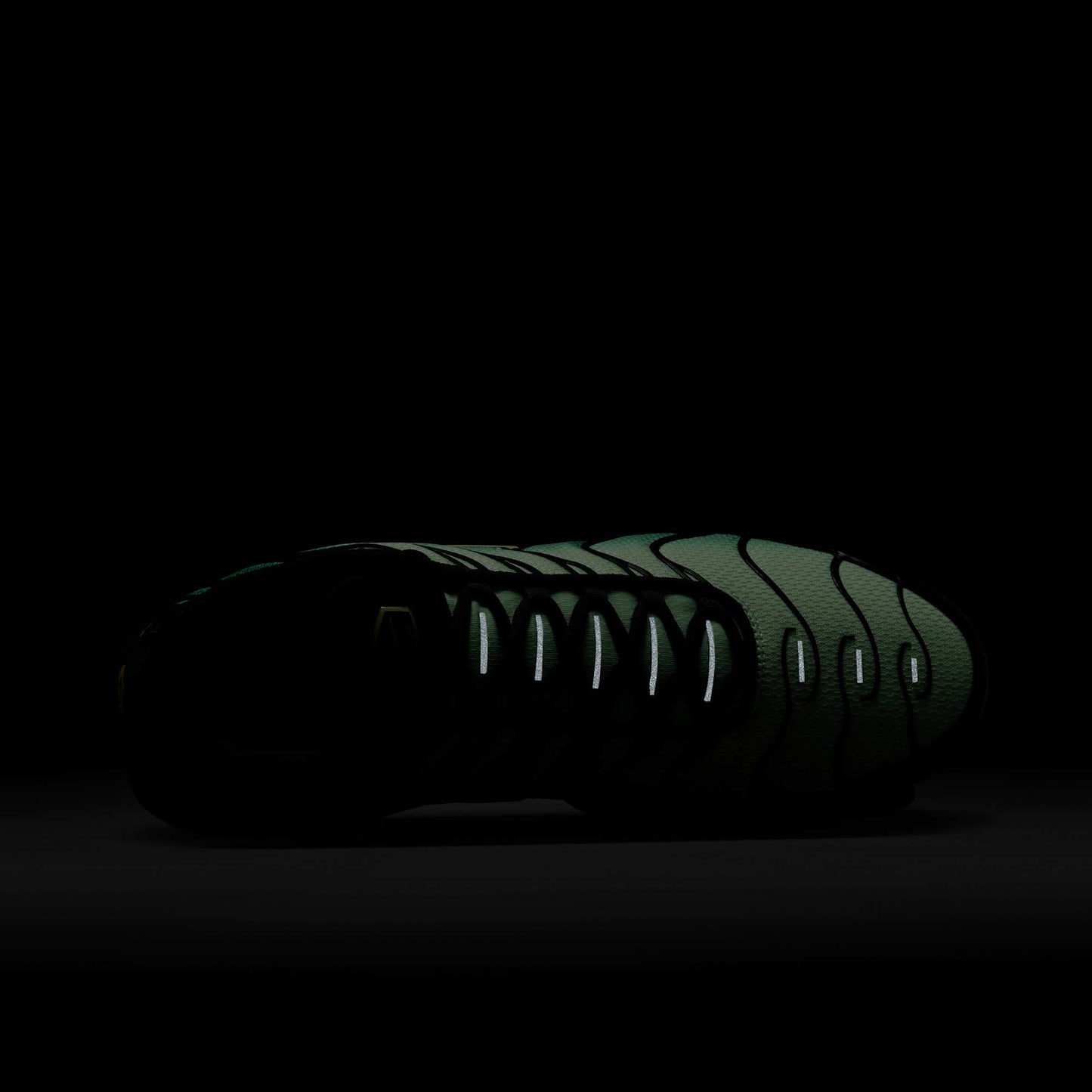 Nike Air Max Plus